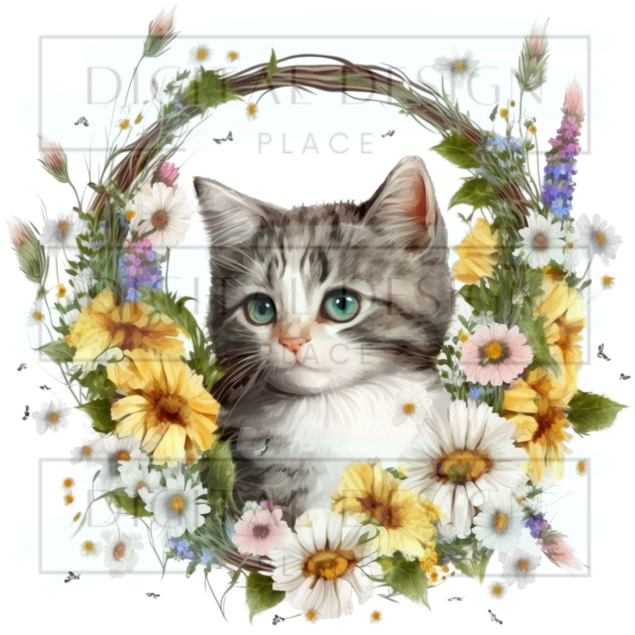 Spring Kitten ANIA110