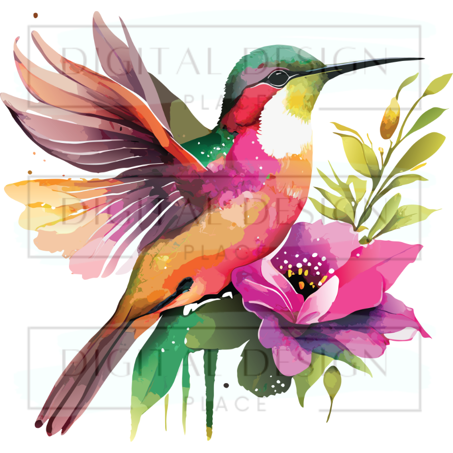 Hummingbird 5 ANIA69