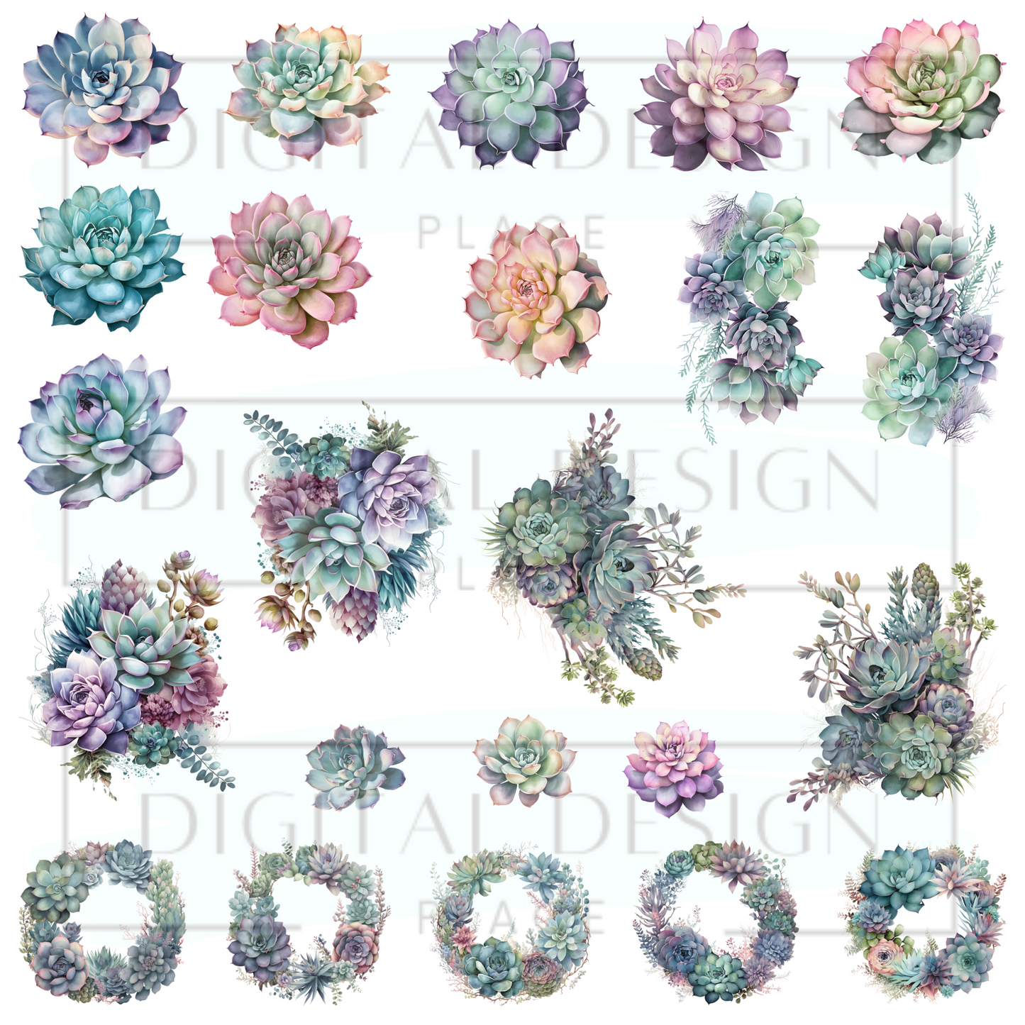 Succulents ELEE356