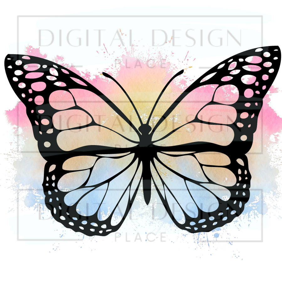 Rainbow Butterfly ANIA17