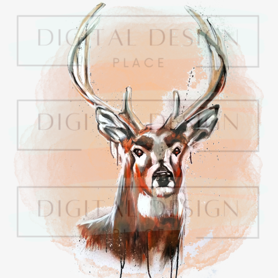 Buck Watercolor ANIA5