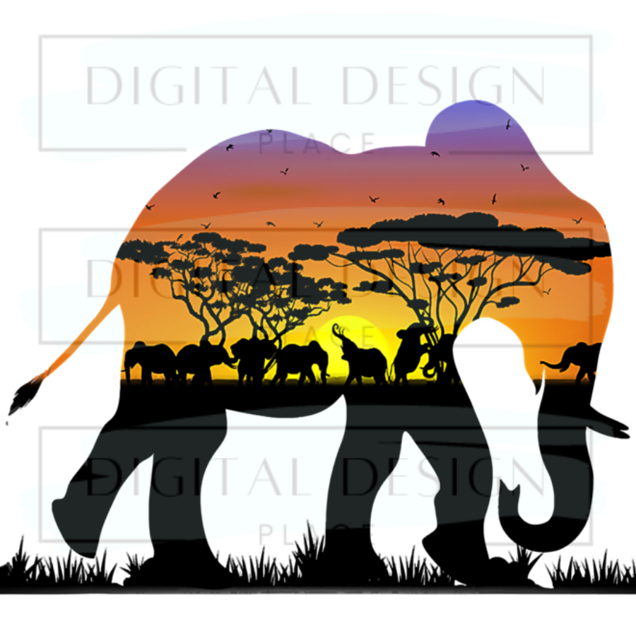 Elephant Sunset ANIA11