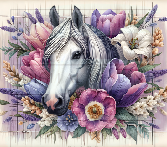 White Wild Horse TWYT223