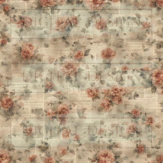 Romeo and Juliet VinylV1040