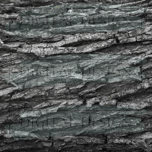 Bark Wood VinylV778
