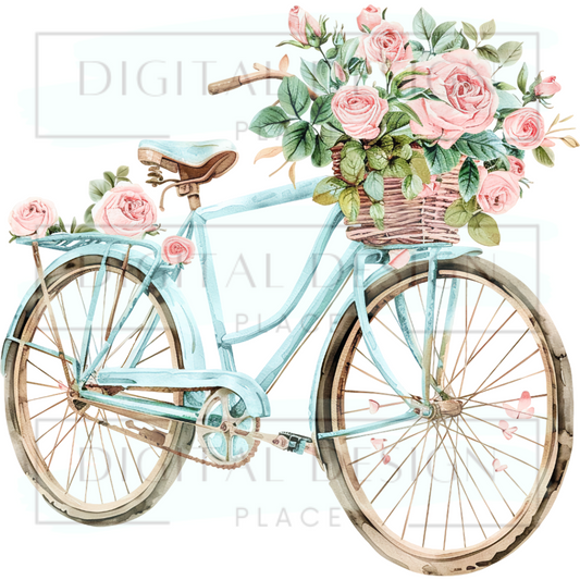 Spring Bike PJP98