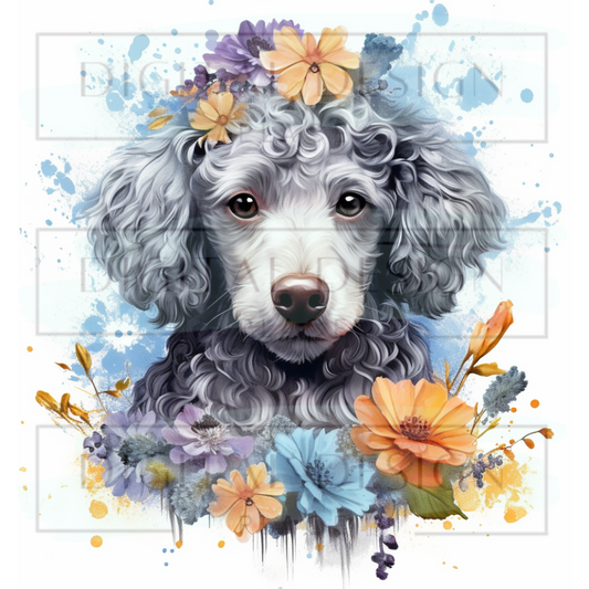 Floral Poodle ANIA124