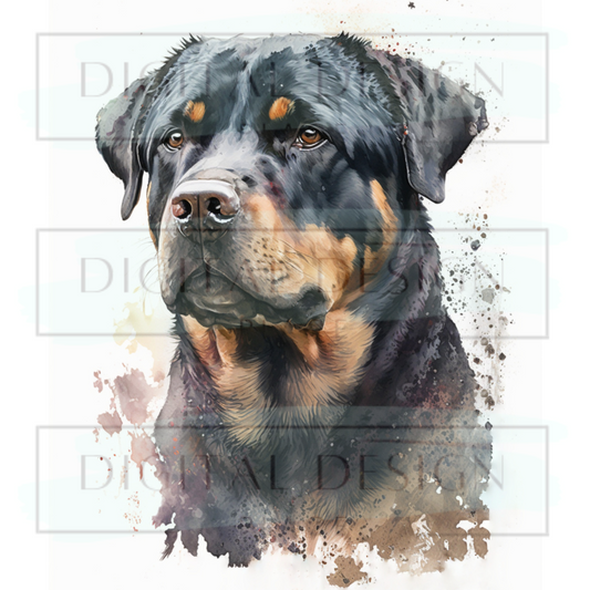Rottweiler ANIA137