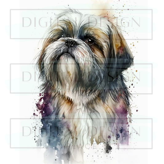 Shih Tzu ANIA138