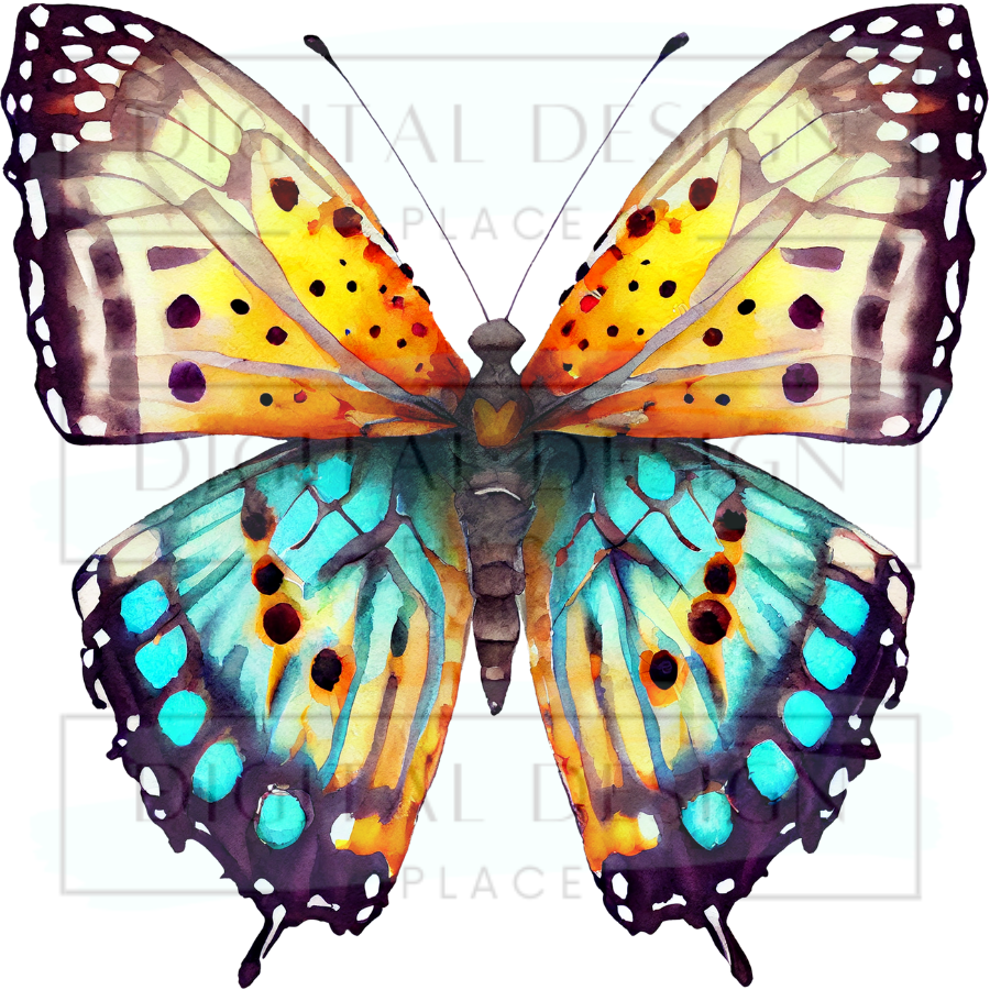 Yellow Blue Butterfly ANIA51