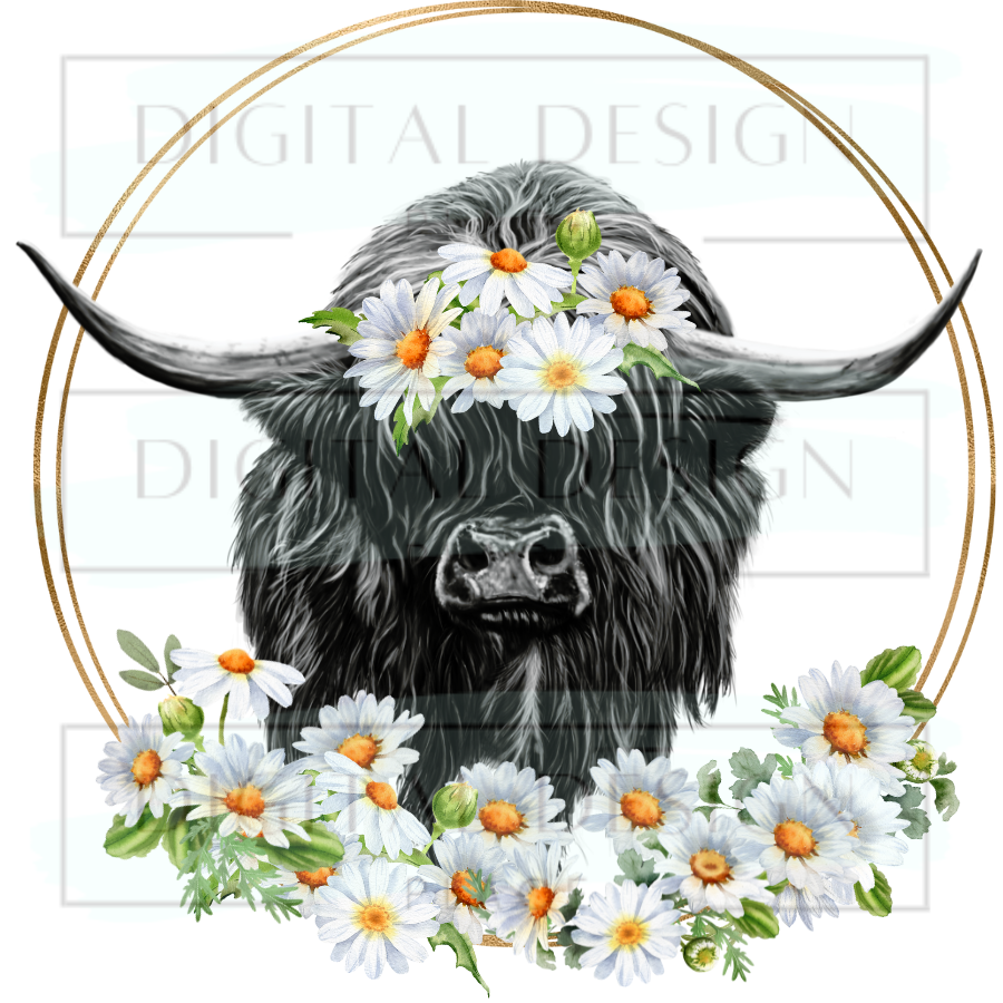 Highland Wreath Daisy ANIA57