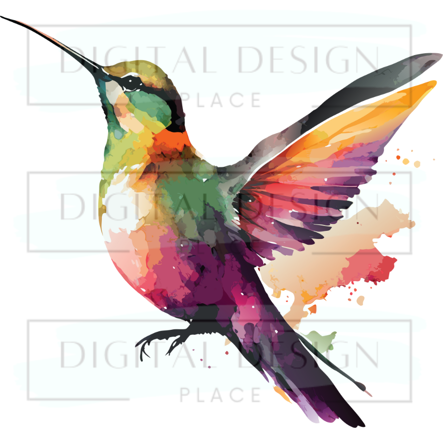 Hummingbird 2 ANIA66