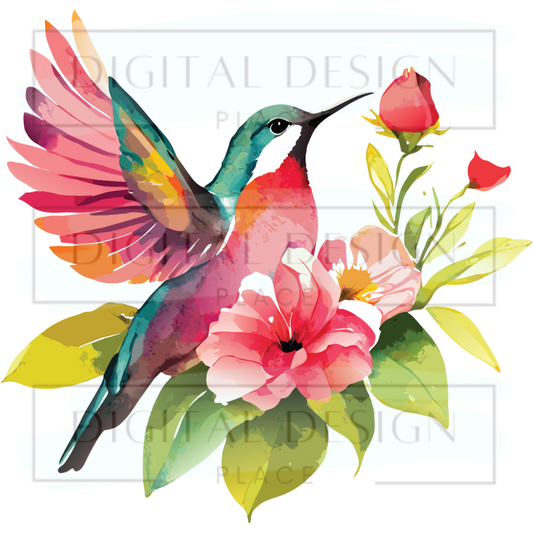 Hummingbird 3 ANIA67