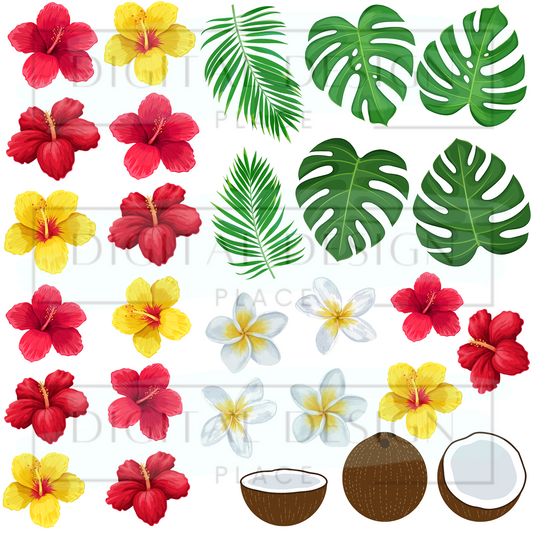 Tropical Paradise ELEE126