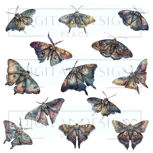 Night Explorers ELEE311