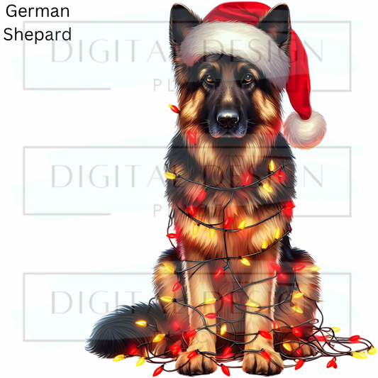 Christmas German Shepard ANIA77
