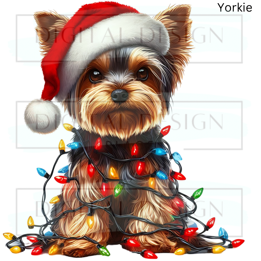 Christmas Yorkie ANIA78