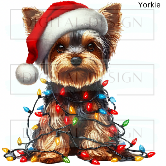 Christmas Yorkie ANIA78