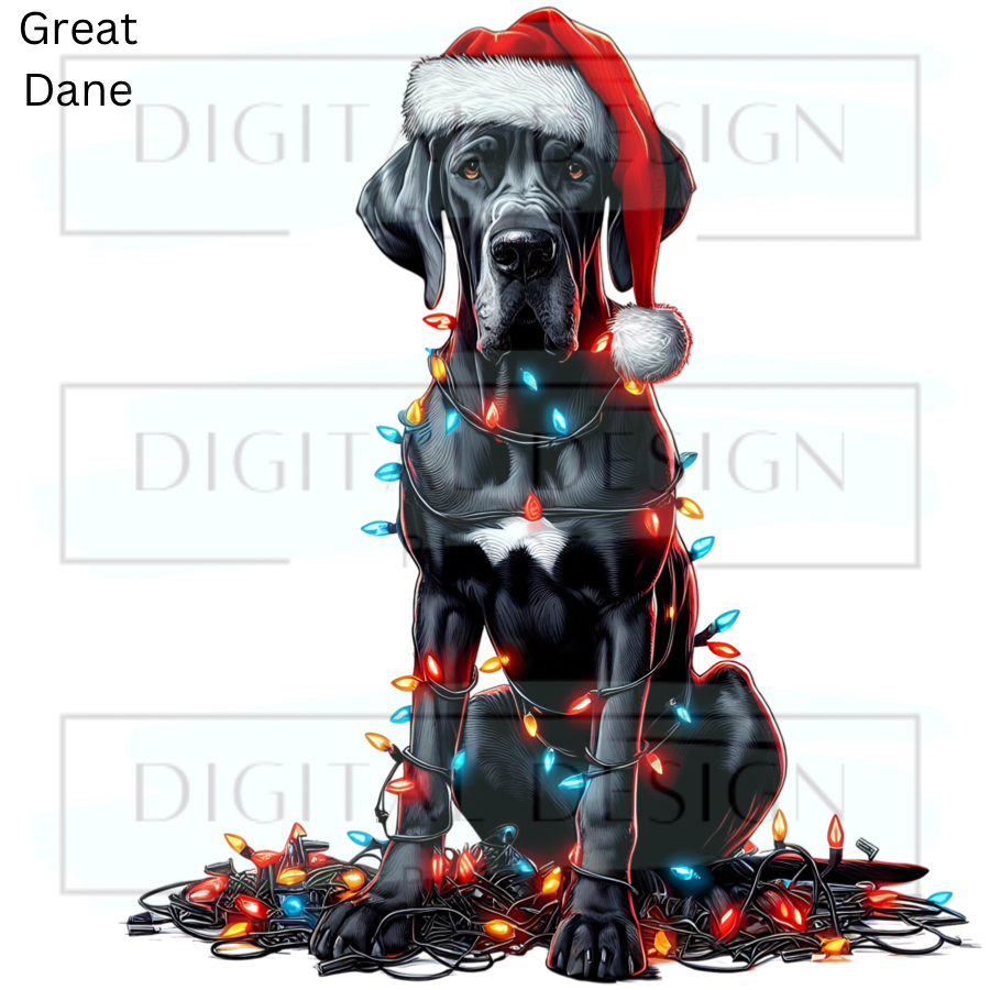 Christmas Great Dane ANIA87