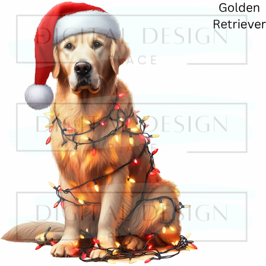 Christmas Golden Retriever ANIA88