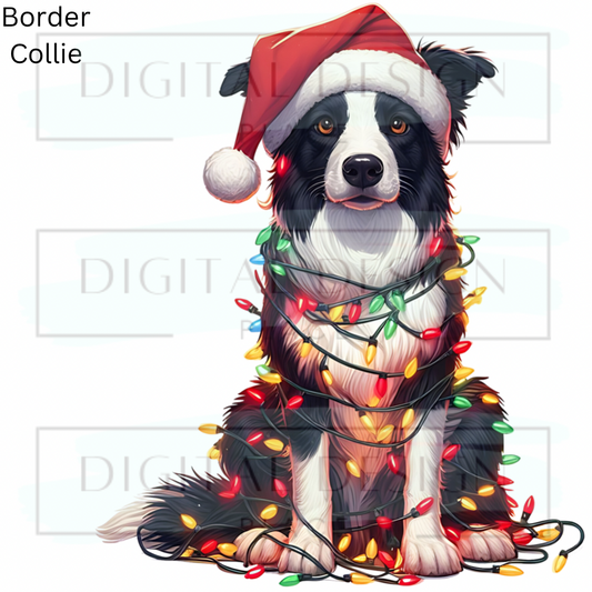 Christmas Collie ANIA94