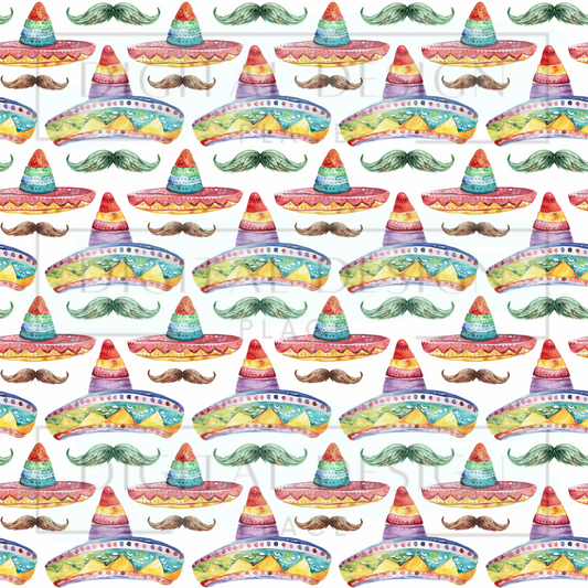 Sombrero Party VinylV1275