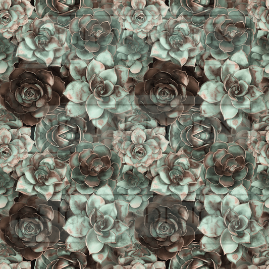 Teal and Brown Succulents VinylV2377