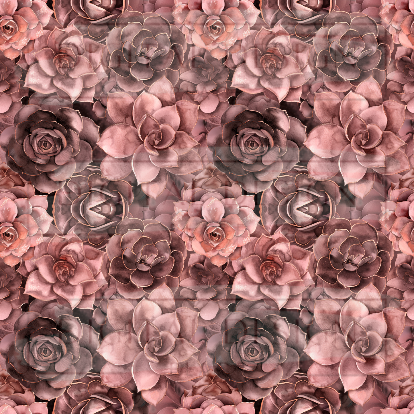 Pink and Brown Succulents VinylV2395