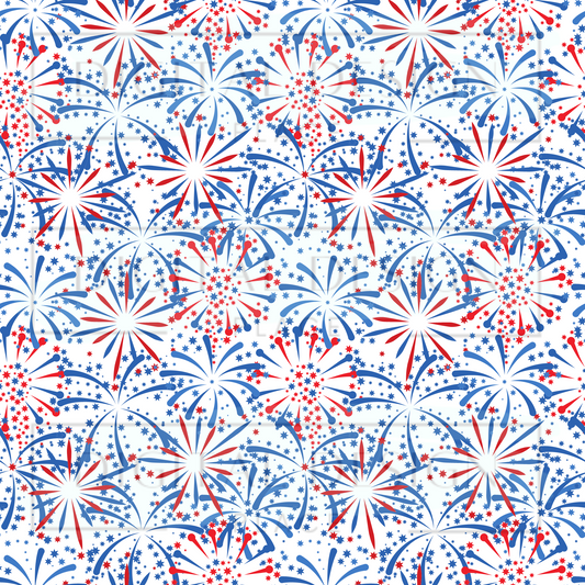 You're a Firework VinylV368