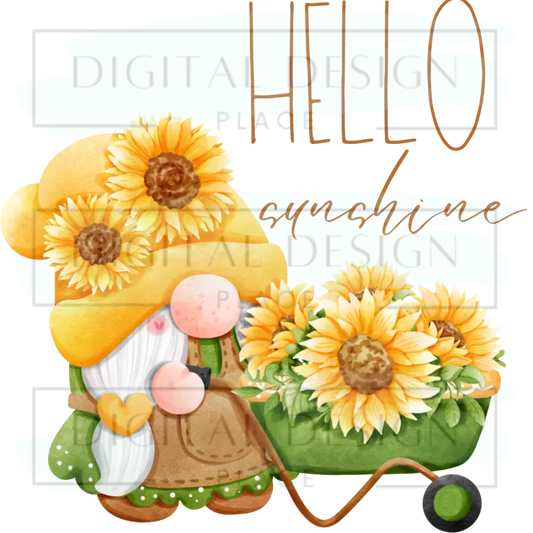 Hello Sunshine SUMS45