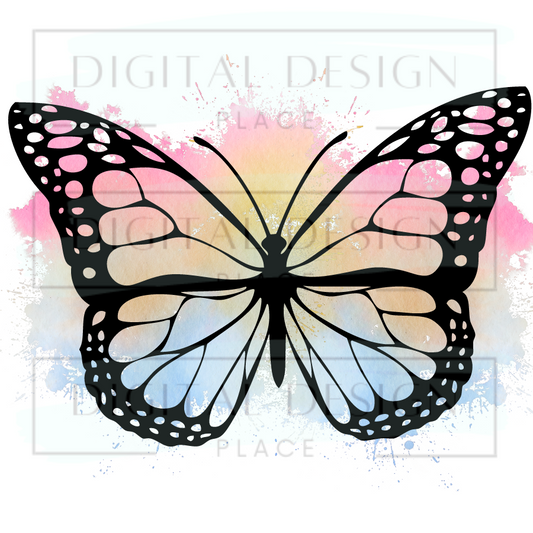 Rainbow Butterfly ANIA17