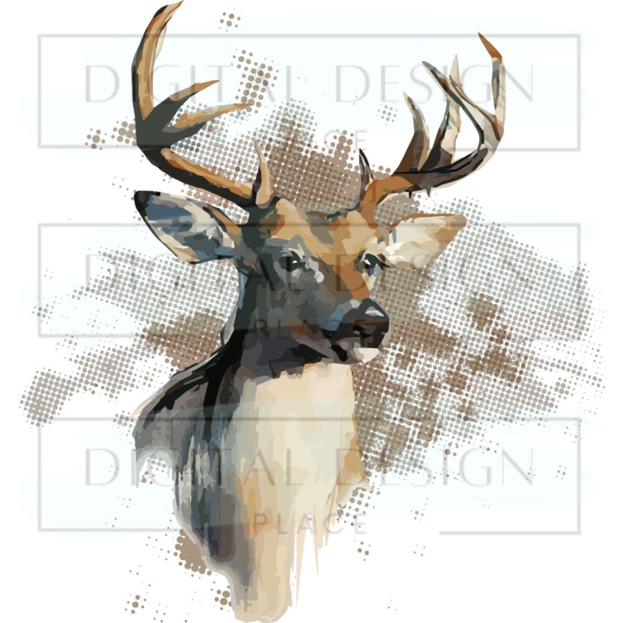 Buck Pixels ANIA6 – Digital Design Place