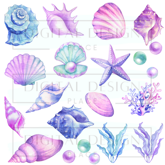 Seashells ELEE37