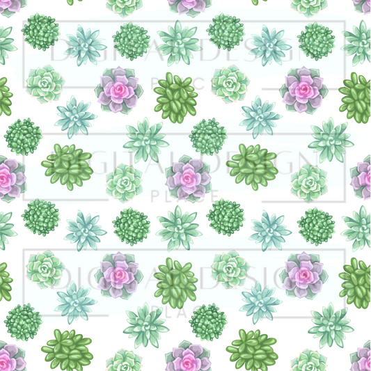Succulent VinylV102