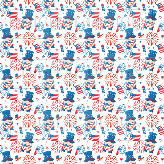 American Gnomes VinylV113