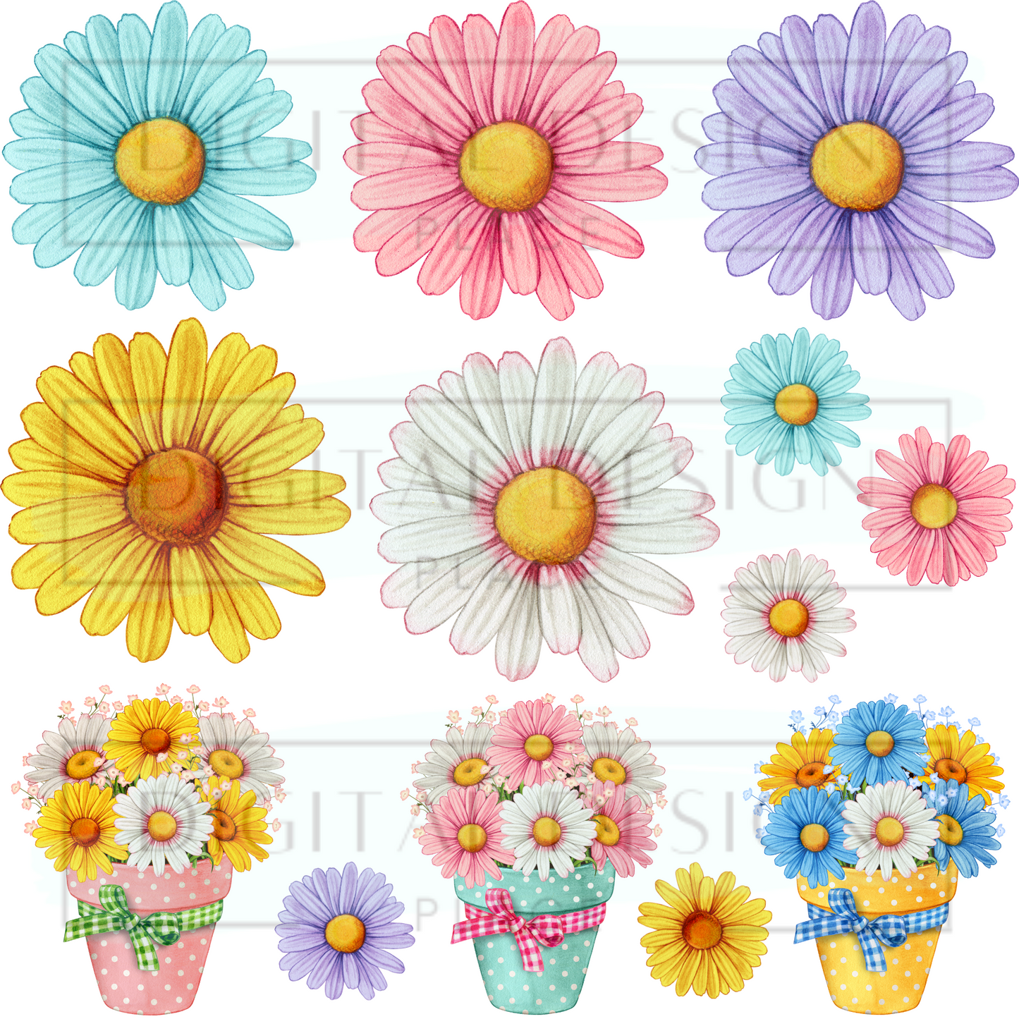 Colorful Daisies EleE54