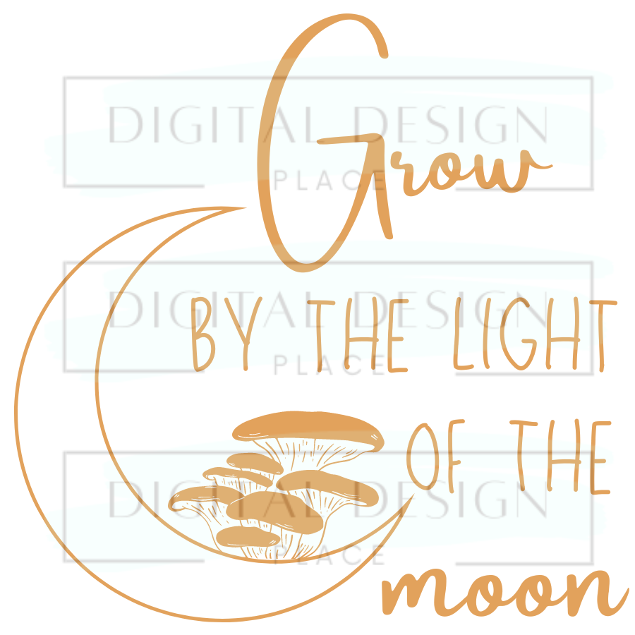 Light of the Moon EmoED17