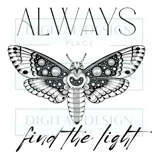 Find the Light EmoED20